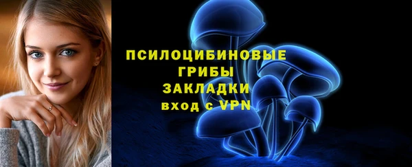 амфетамин Каменка