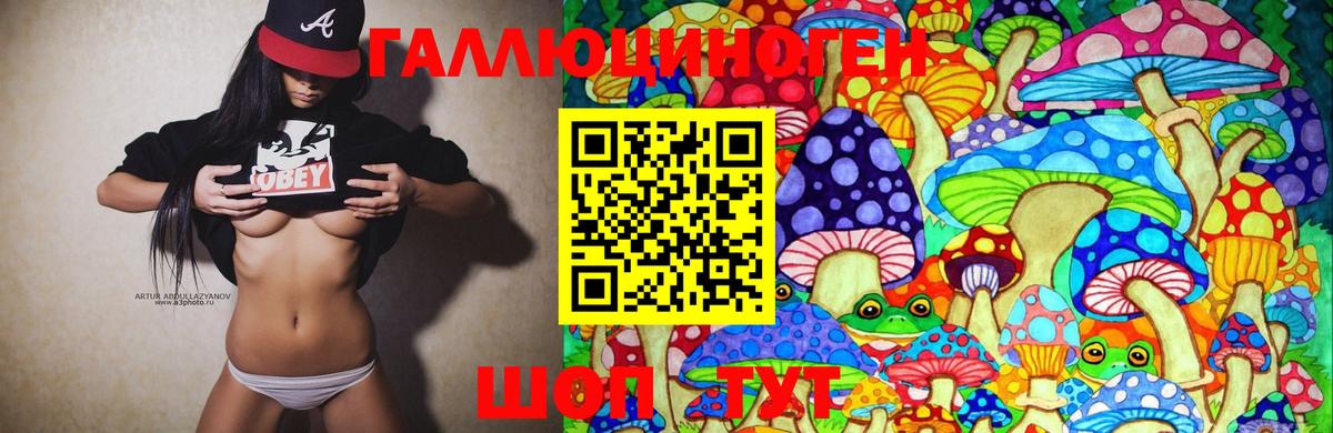 Псилоцибиновые грибы Psilocybine cubensis  Владивосток 