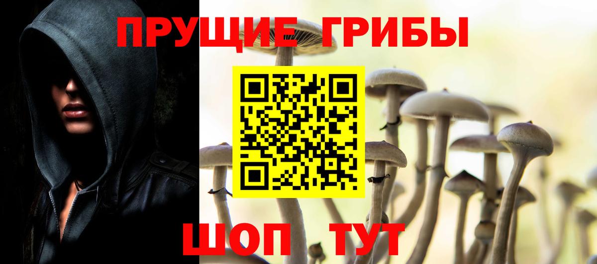 Псилоцибиновые грибы MAGIC MUSHROOMS  Вход с VPN  магазин продажи наркотиков  Владивосток  Галлюциногенные грибы Magic Shrooms 